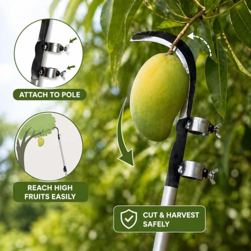 Image of Coconut Plucker & Grass Sickle Cutter Head | High Tempered Steel Multipurpose Agricultural Hand Tool for Tree Branch Cutting,Crop Harvesting & Gardening Use | Darati | Kokki Aruval |Pack of 1