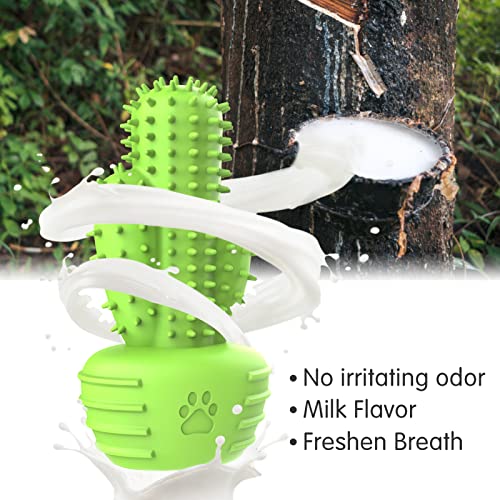 Image of Pamlulu Dog Chew Toys & Teeth Cleaning Brush - Dental for Small, Medium & Large Dogs, Rubber Squeaky Toys for Aggressive Chewers, Cactus Tough Toys
