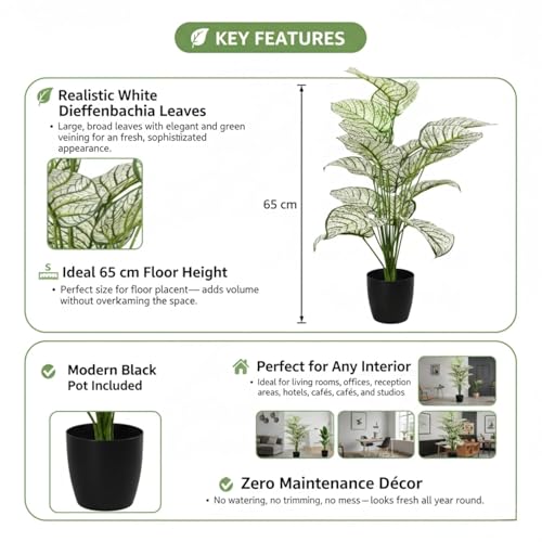 Image of Artificial White Dieffenbachia Plant with Black Pot - 65 cm Tall Faux Tropical Decorative Plant for Home, Office, Balcony & Living Room Decor