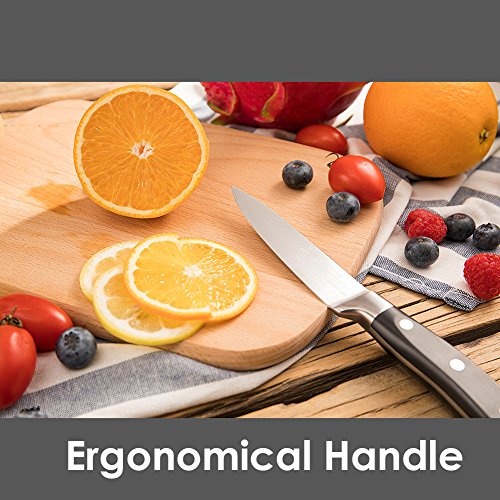 Paring Knife Fruit Knife Peeling Knife 4 Inch German HC Stainless Steel Small Sharp Knife with Non Slip Ergonomic Handle for Kitchen Cutting