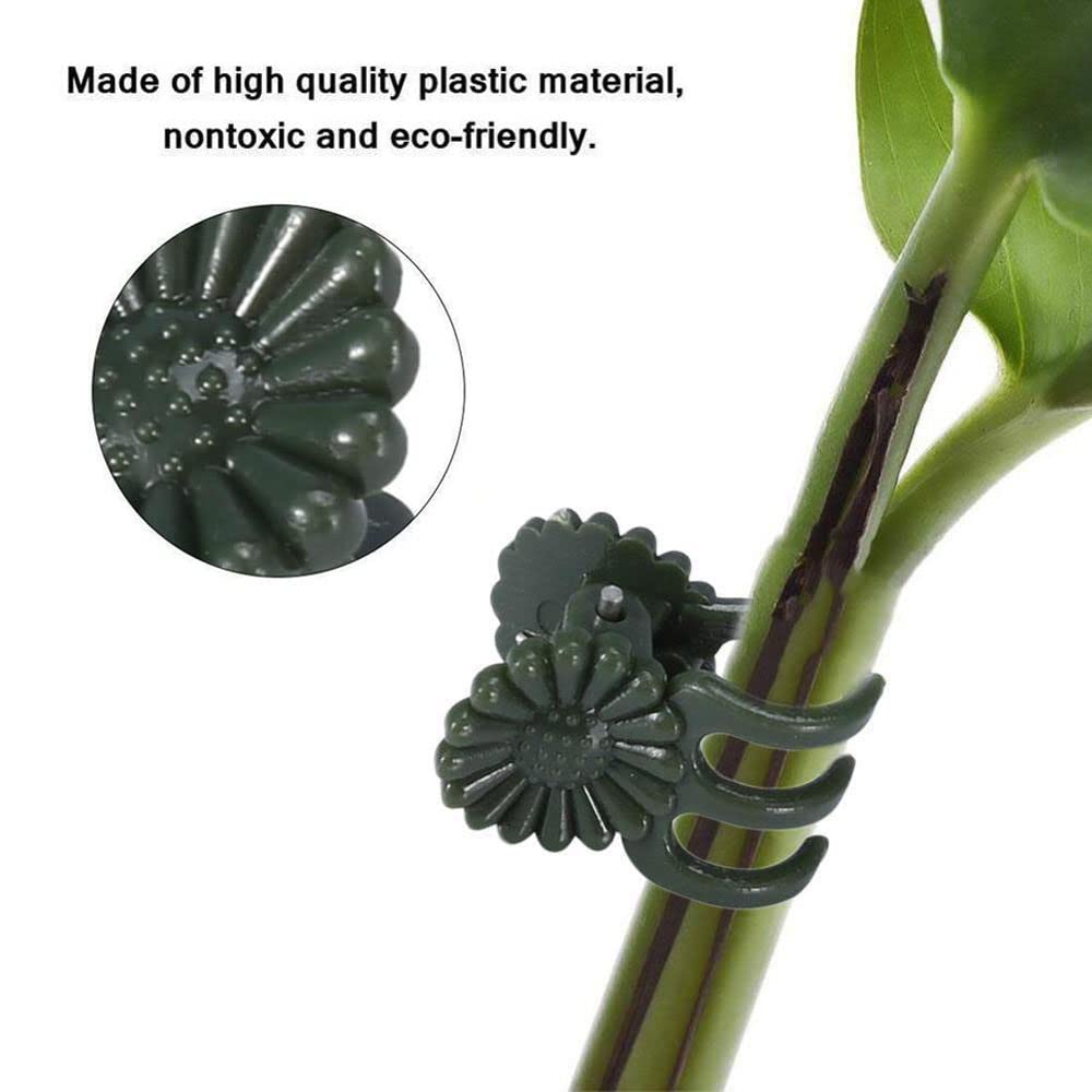 20/100 Pezzi Clip di Supporto per Piante Fiori di Orchidea Viti Crescita Eretta Crescita Sana Clip per Legare Facile da Usare Morsetto Fissaggio Piante – acquista a prezzi convenienti sul marketplace
