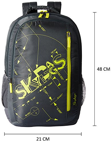 Image of Skybags Pixel 30 Ltrs Grey Casual Backpack (PIXPLS03GRY)