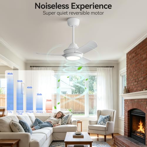36 Inch Ceiling Fans with Lights,Ceiling Fan with Light and Remote Control Smart Ceiling Fan,Noiseless Reversible DC Motor,3 Blade Ceiling Fans 6-Speed 3 CCT,Ceiling Fan for Indoor/Outdoor by aneneton - Used condition - Image 8