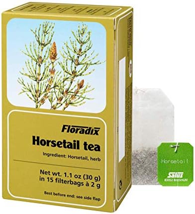 Floradix Organic Horsetail Herbal Tea 15 Bags