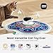 Gardner Pet Cat Toys Chargeable,5in1 Hide and Seek Automatic Interactive cat Toy, Chirping Moving Ambush Feather, Track Balls,Indoor Exercise Kicker 24 inch Cover for All Breeds,Boho Style - Blue