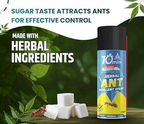 Image of Amish Ant Repellent Spray 200ml for Home & Kitchen | Herbal Organic Indoor Outdoor | Pet Safe, Safe for Dogs | Eco Friendly Remover for Home, Plants | 10 Minutes Formula| Repellent Spray