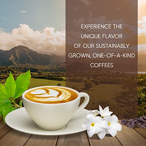 Cafés Granell – Kopi Luwak + Panama Geisha Coffee | Exotic Collection Coffee | Fresh Whole Gourmet Beans | Quality Controlled | 100% Arabica Coffee-Premium Medium Roast | 3.53Oz #TOP2