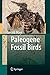 Paleogene Fossil Birds