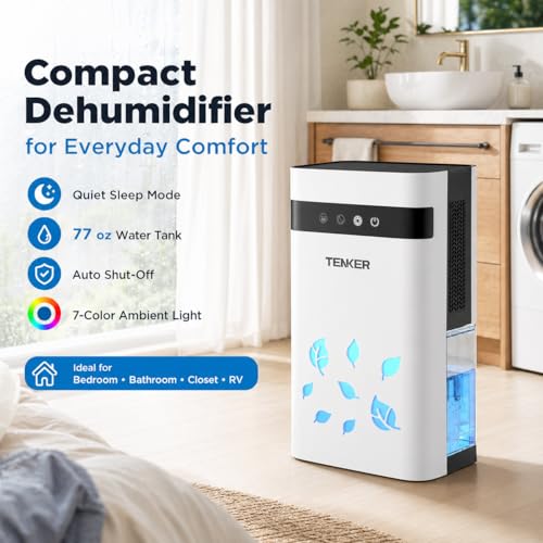 Commercial Dehumidifier with Pump