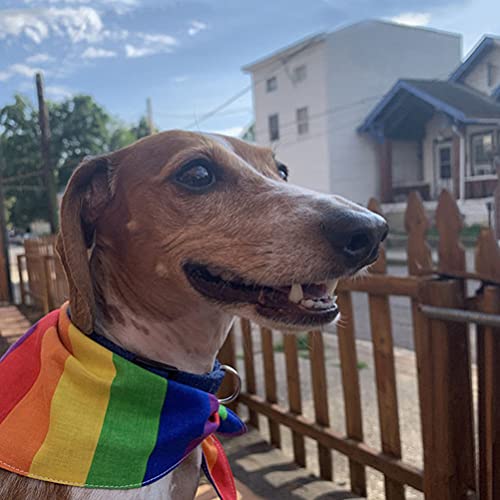 VALICLUD Lenço de Cachorro Bandana Arco-íris para Fantasia de Cachorro Pequeno a Grande