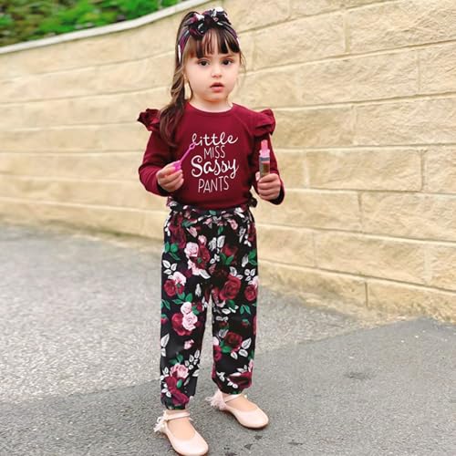 Image of SANMIO Toddler Girl Clothes Cute Ruffle Sleeve Shirt Floral Pants Headband
