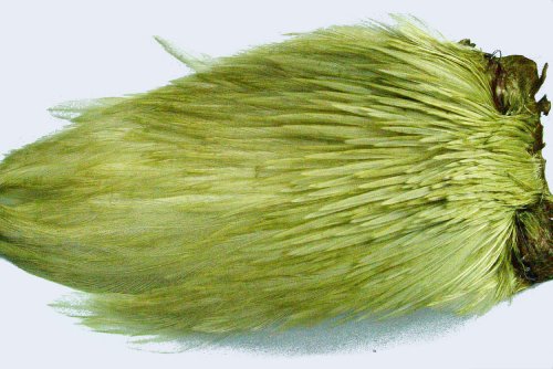 Pechetruite 1 x Cou de Coq Indien - Olive Clair pour Montage de Mouche de Peche