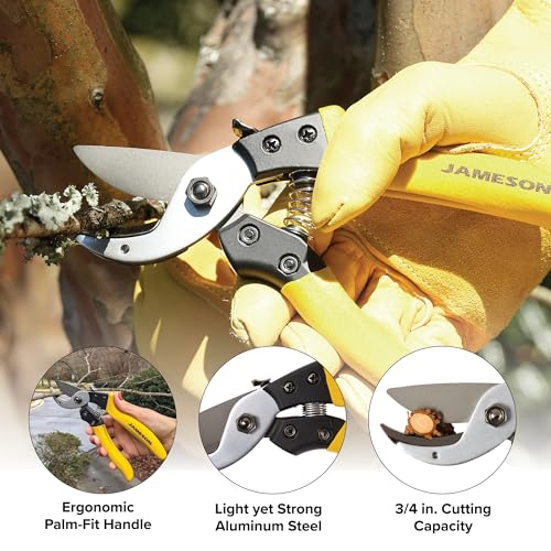 Tijeras de Poda Profesional Jameson Anvil, corte 3/4 pulg miniatura 3