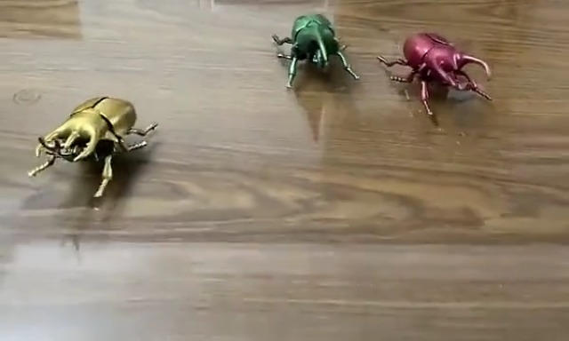 Amazon.co.jp: Homilius カブトムシ ぜんまい 3匹セット ムシ おもちゃ 