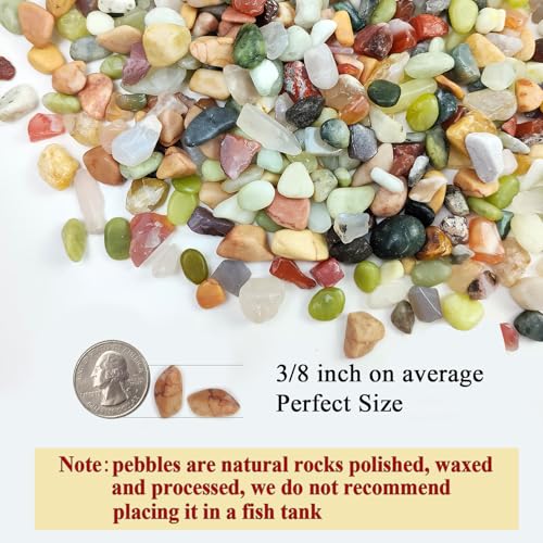 Image of FANTIAN 2 Pounds Pebbles for Plants, 3 /8 Inch Succulent Rocks, Decorative Polished River Rocks for Plants Indoor, Vases, Cactus Planters, Bird Bath, Craft and Fairy Garden