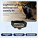 PetSafe In-Ground Fence Receiver Collar for Cats - Waterproof & Battery-Operated Adjustable Invisible Perimeter Training Collar - for Cats Older Than 6 Months, Weighing Over 6 lbs