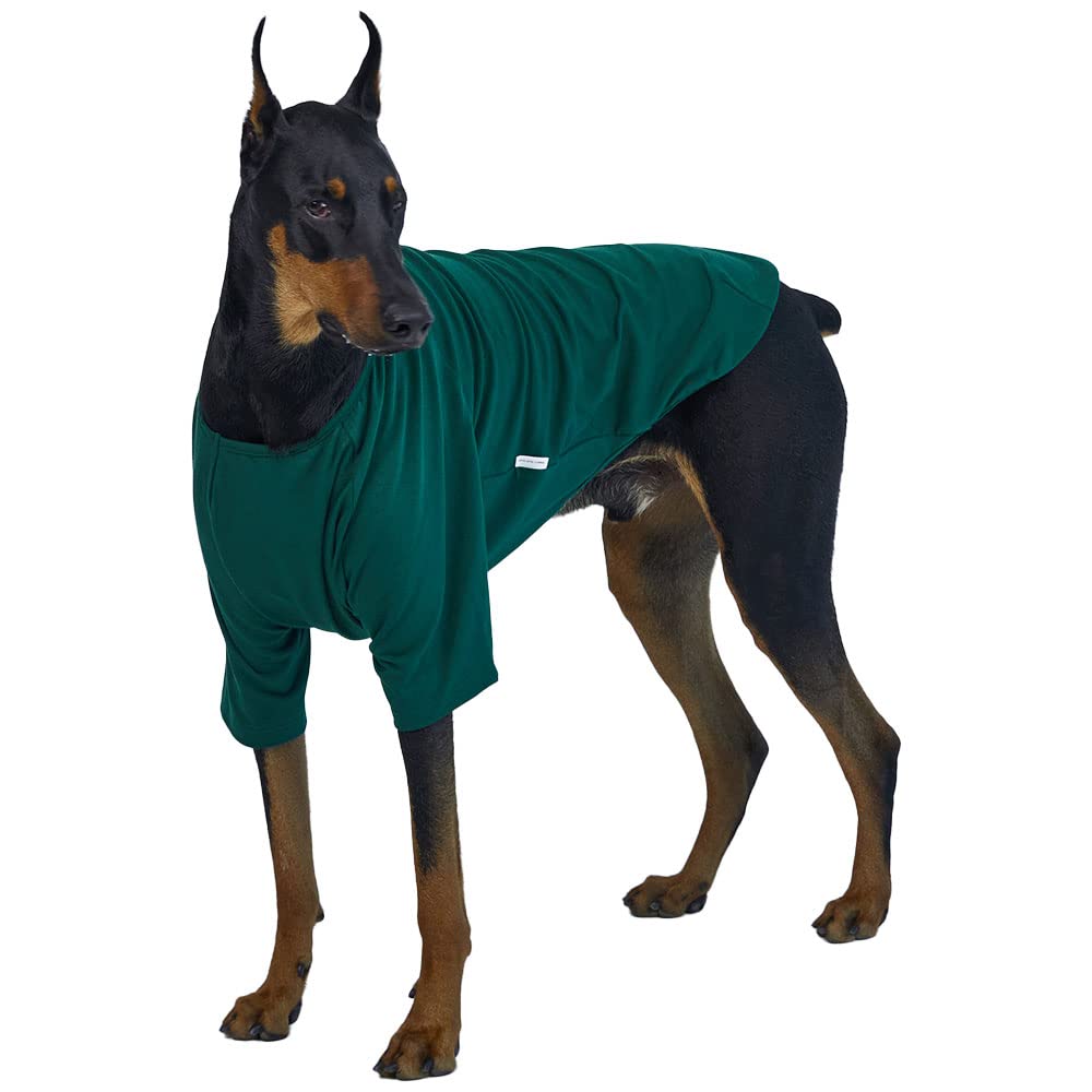 Camisa para perros pequeños, camisetas lisas, suave, transpirable, de algodón para perros, ropa para mascotas (2XL, verde)