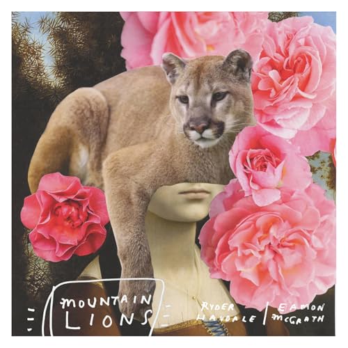  Mountain Lions
