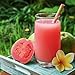 Taoro Guava Nectar - Rich and Fruity Tropical Flavor - 33.8 oz (Pack of 1)