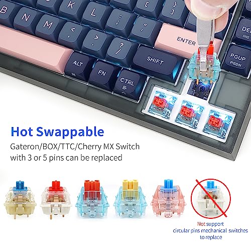 Image of MOLGRIA SKYLOONG GK75 75-Key RGB Backlit Gaming Keyboard with Dark Blue and Pink PBT Keycaps, Hot Swappable Yellow Mechinery Switches, Type C Wired Knob Mechanical Keyboard for Win /Mac OS