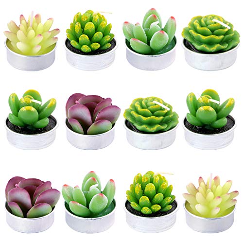 Bougies Cactus et plantes vertes Swpeet sans fumée pour décorer sans odeur ni suie noire
