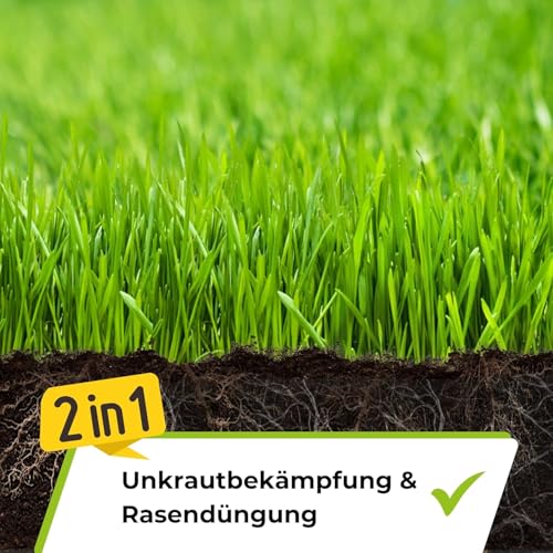 TerraUno Rasendünger mit Unkrautvernichter extra stark, 100 Tage Langzeitwirkung, 5 kg für 250 m², gegen Löwenzahn, Klee uvm… – Ansicht 4