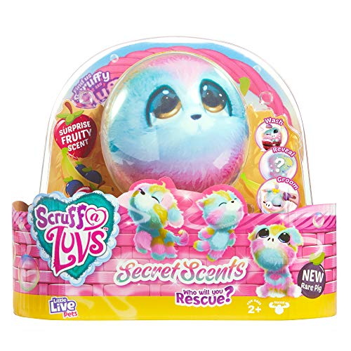 Scruff-a-Luvs Little Live Scented Surprise Reveal tęczowa pluszowa przytulanka - kot, pies lub rzadka świnka, 30059