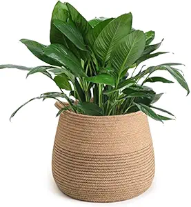2 GUDD'IMPORTED QUALITY Jute Belly Plant Basket Woven Organizer for Storage Laundry Picnic Plant Pot Cover