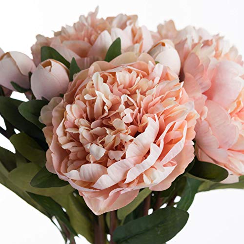 The Recipe Peach Peony Rose orange one size - Image 2