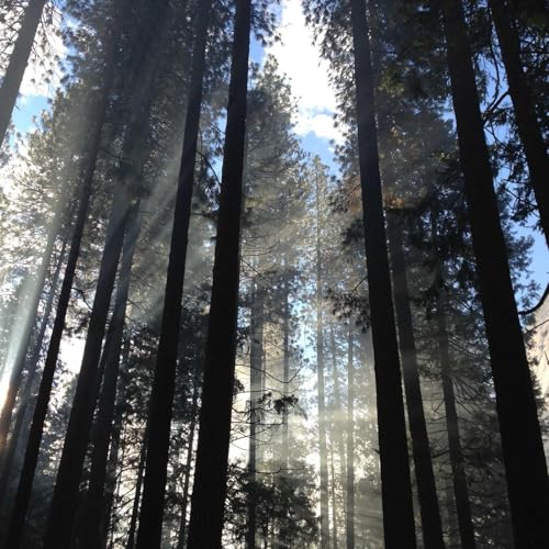 『Copmibv Premium Book Reviews』のカバーアート