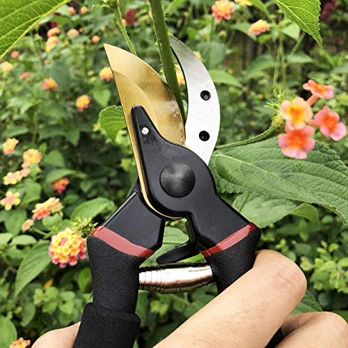 Tijeras de podar profesionales gonicc 8" con titanio miniatura 3
