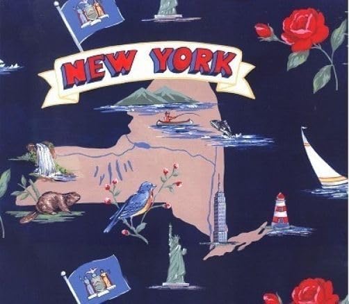 FlashPhoenix Tela de costura de calidad – Empire State of New York Map Tourism Fleece Fabric; 36 x 44 pulgadas por The Yard