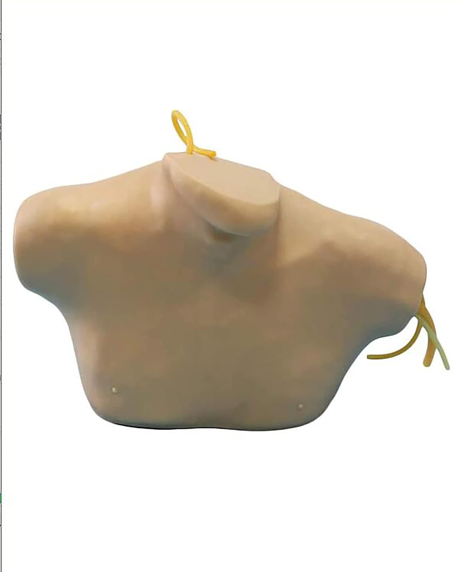 Buy Central Venous Puncture Training Simulator Life Size Venous