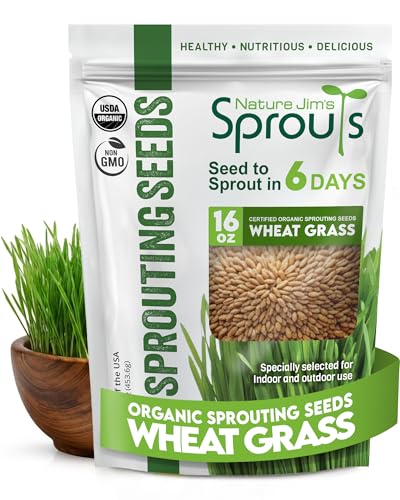 Nature Jims Sprouts Wheat Grass Seeds Non-GMO Organic Seeds for Planting Cat Grass for Growing & Sprouting Resealable Bag for Fresh Wheatgrass Sprouts Vitamins Minerals & Fiber-Rich 16oz