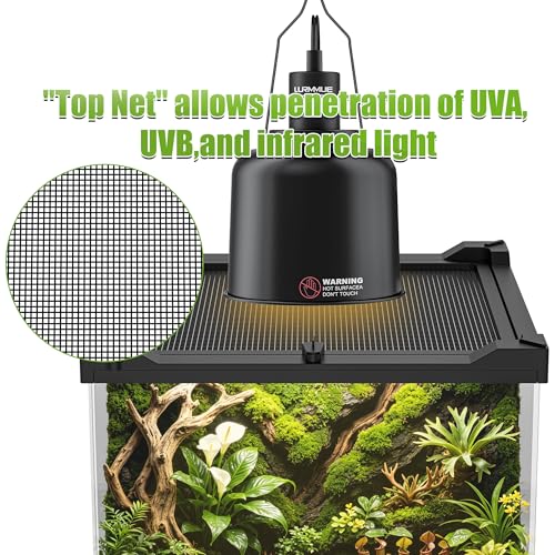 Image of 8 inch x 8 inch x 12 inch Mini Vertical Glass Reptile Terrarium | Front Opening & Fully Assembled Enclosure Tank for Crested Geckos, Tree Frogs, Tarantulas, Jumping Spiders & Tiny Reptiles