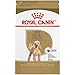 Royal Canin Poodle Adult Breed Specific Dry Dog Food, 2.5 lb bag