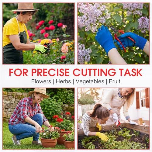 36 Tijeras de Poda Rectas para Jardín y Floristería miniatura 4