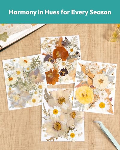 Image of Dried Flowers, Resiners 100Pcs Pressed Flowers for Craft Real Natural Dried Flowers Dry Leaves Kit for DIY Making Crafts Resin Soap Candle Scrapbook Supplies Jewelry Making