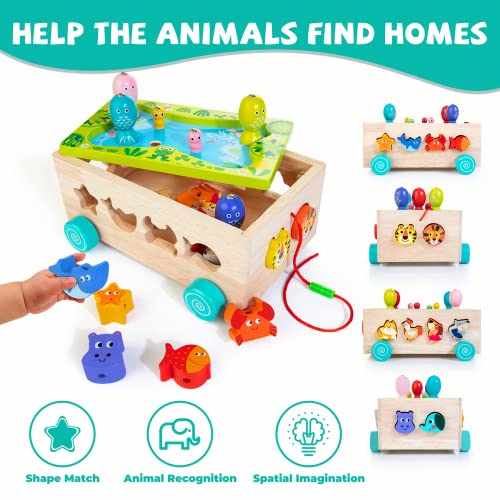 Wooden Montessori Toys For 1 Year Old Toddlers, 5 In 1 Magnetic Fishing Game Car With Animal Blocks, Shape Sorter Toys For Toddlers Age 1 2 3, Preschool Fine Motor Skills Toys Gift For Baby Boys Girls #TOP1