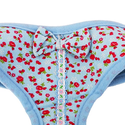 Dolce Cucciolo di Cane Guinzaglio Imbracatura