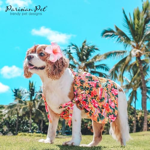 Robe hawaïenne pour chien respirant avec bretelles de traction intégrées