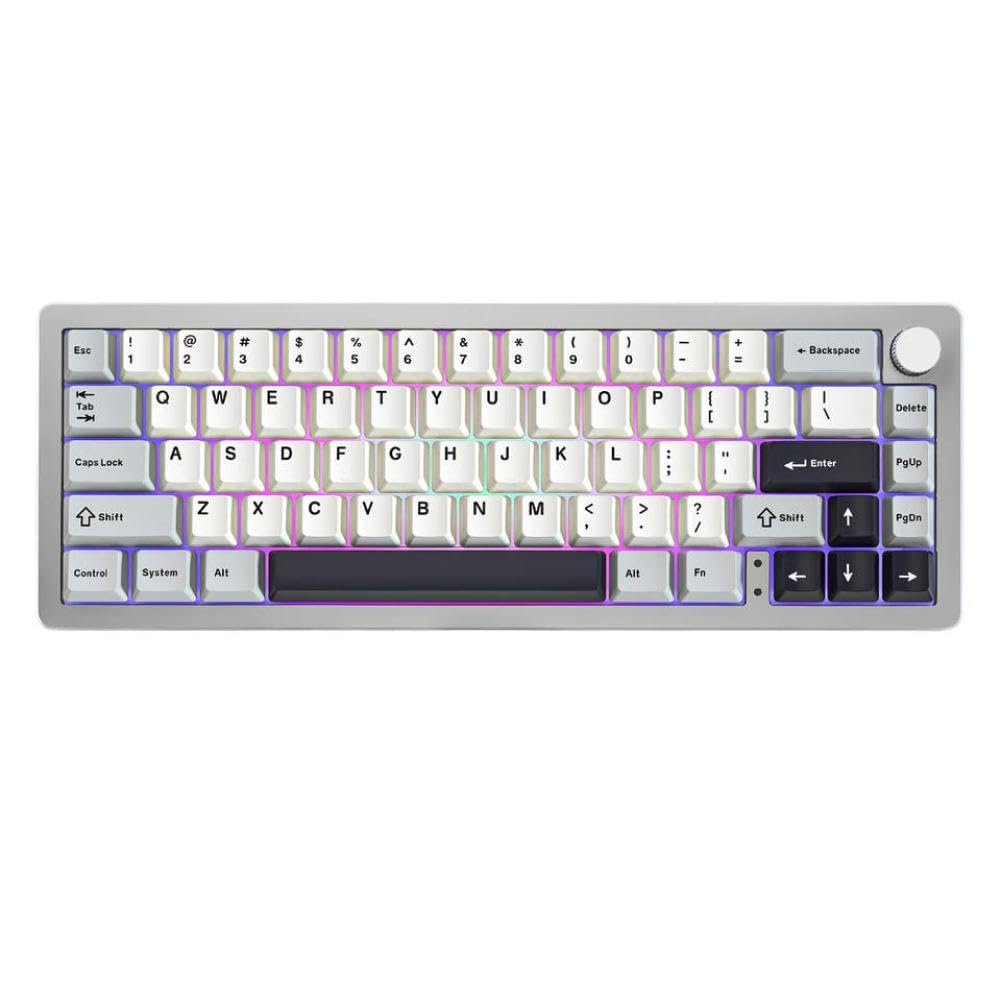 Tastiera da gioco meccanica con manopola in alluminio CNC a 66 tasti con supporto hot swap RGB, design di montaggio con guarnizione, wireless 24G e connessione cablata compatibile con AL66(Silver)