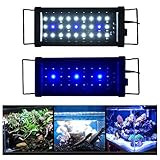 KZKR LED Aquarium Hood Lighting Fish Tank Light 12-20 inch Blue and White Light
