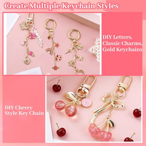 Image of Wurosi 680 Pcs Keychain Making Kits, Pink DIY Bag Charm Kit, 78.74 Inch Chains, Key Chain Hooks, Jump Rings, Lobster Clasps, 225 Charms & Letter, Tools, Great for a Custom Gift, Party, or Family Activ