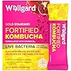 Wellgard Fortified Kombucha, Vegan Probiotic Drink Sticks, 1 Billion CFU Bacillus Coagulans, Prebiotics, Vitamin B₁₂ for Immune & Energy, 20 Sticks