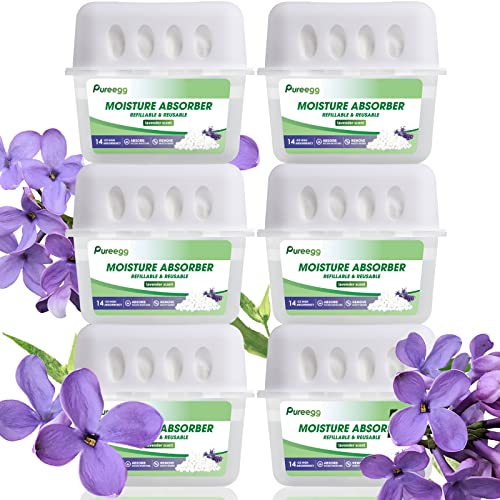 Top 10 Best Odor Eliminator For Basement Reviews & Buying Guide Katynel