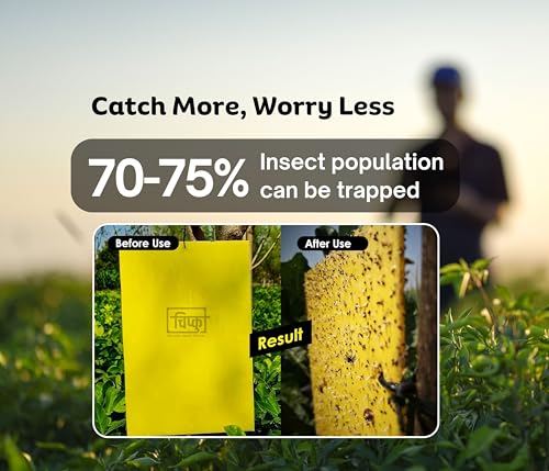 Image of Chipku A5 Yellow Sticky Trap for Insects Pack of 50 Sheets| for Garden & Agriculture to Control Whiteflies, Aphids, Thrips, Jassids| Fly Catcher Insect Catcher Glue Trap for 100% Results