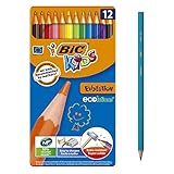 Lápices de color éco-responsables, déclinés en 12 colores brillantes en una caja de metal durable. En antes los atractivos dibujos