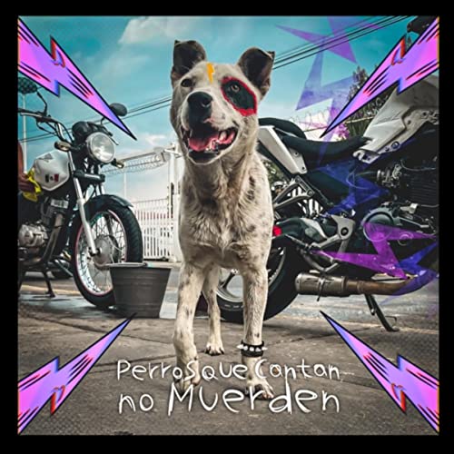 Los Mestizos del Barrio