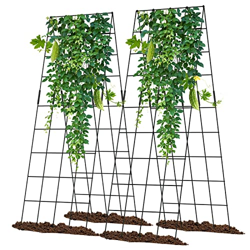 UrGROWA Cucumber Trellis 2 Pack, 59" H Foldable A-Frame Garden